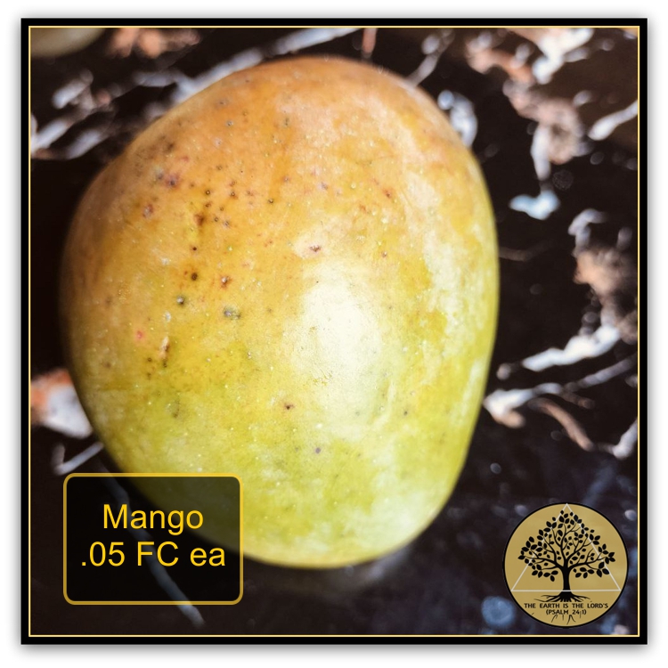 Mango 01