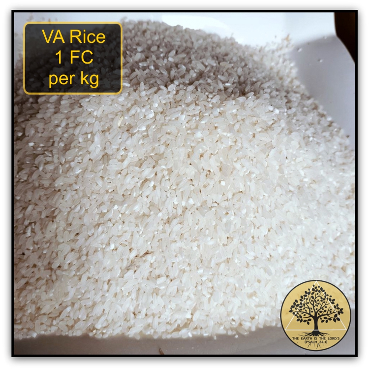 Rice